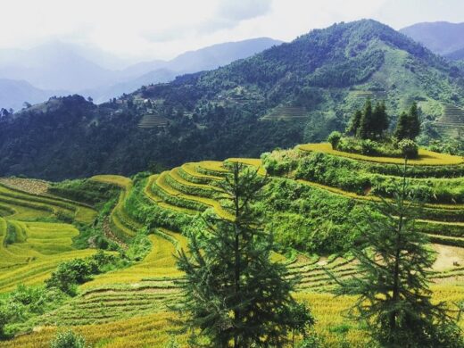 The full set of travel experiences in Si Ma Cai – the beautiful land of Lao Cai province