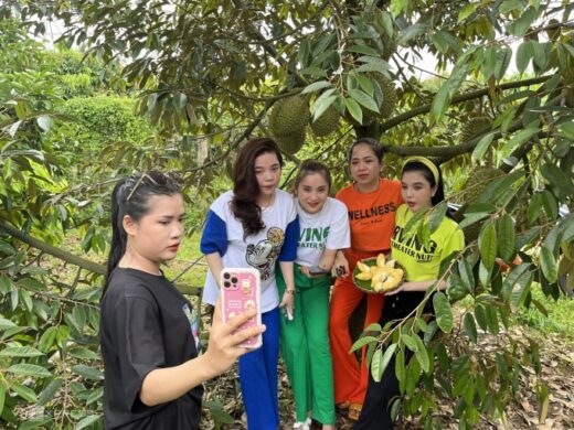 Durian garden with 300 trees attracts customers in the West