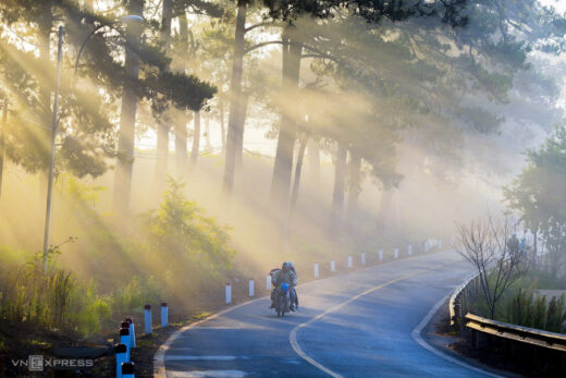 Visit Da Lat and get more than you bargained for