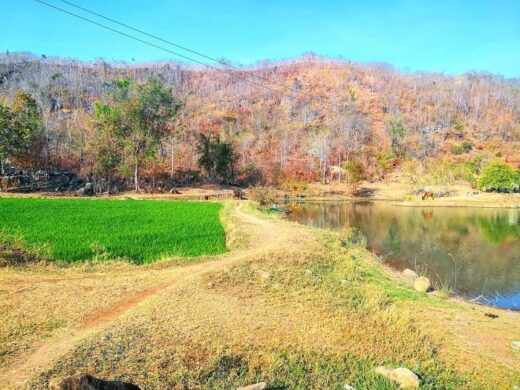 Fascinated by the beauty of Quao River Lake in Binh Thuan