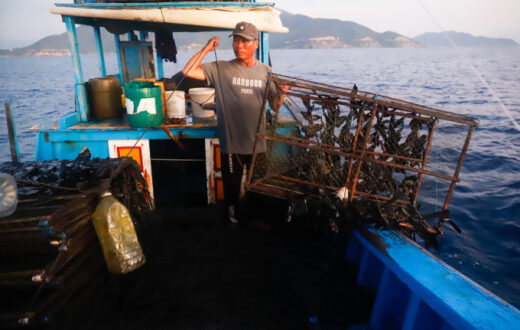 Squid trap in Nha Trang Bay