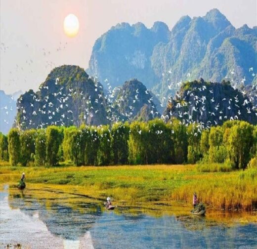 Ninh Binh tourism: Release your soul in the fields of ripe rice and blooming lotus