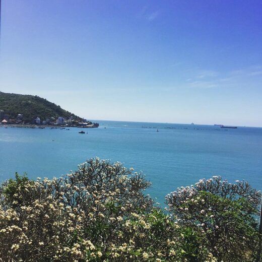 Check-in the porcelain flower road in Vung Tau is as beautiful as paradise