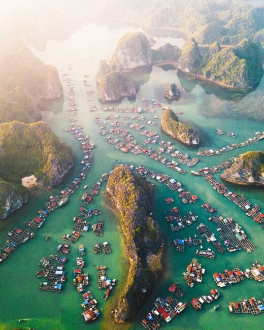 Invite each other to travel to Cat Ba 3 days 2 nights to fully explore the beautiful ‘Pearl’ of the Port country