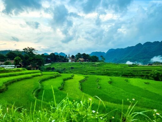 Spending 450$ on the forest, into the sea in Thanh Hoa