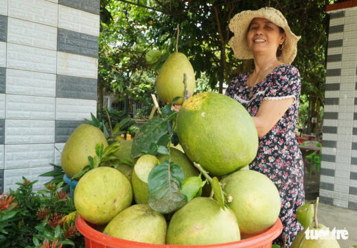 Going to Dai Binh village to play festivals, enjoy fruits from the garden by the Thu Bon River