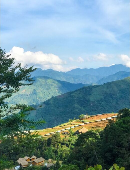 Explore Thong Nguyen Ha Giang, and admire the beautiful terraced fields that you don’t want to go back