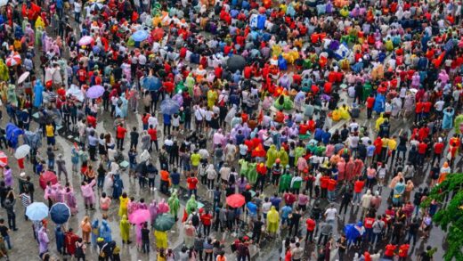 Colorful arrays of Vietnam