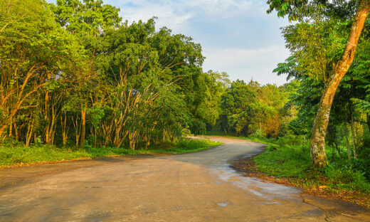 Three Vietnam parks win prizes at World Travel Awards