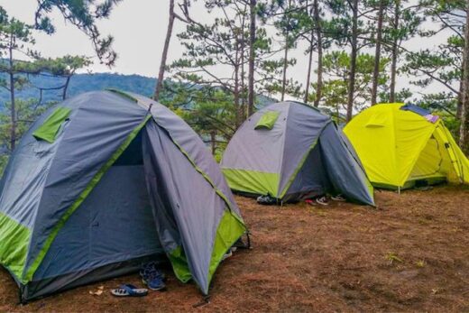 6 most beautiful camping sites in Da Lat: Place number 3 is also known as ‘The Cloud Hunting Sanctuary’