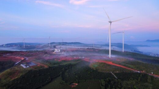 Da Lat morning 2/9: Crowded with tourists “hunting” the ravishing sea of ​​clouds