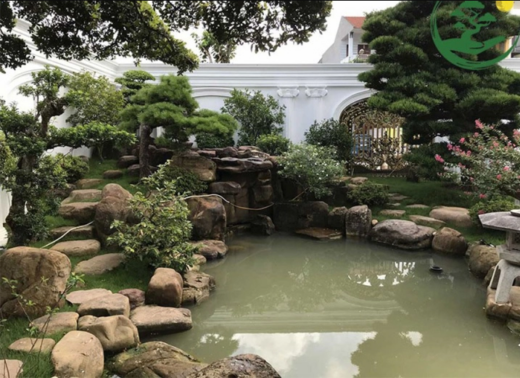 Japanese garden, koi fish – a billion-Vnd hobby of rich Vietnamese