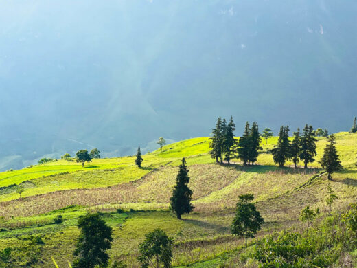 ‘Miniature Switzerland’ in Suoi Thau steppe