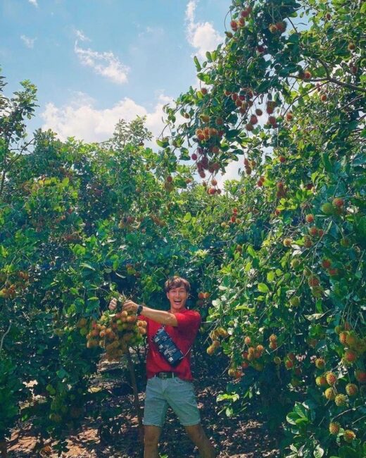 If you go to the West, remember to visit famous fruit gardens to pick and enjoy delicious fruits on the spot