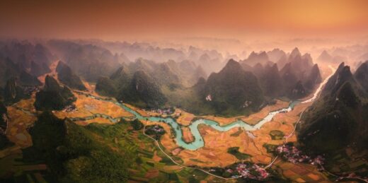 Photo of Cao Bang’s ripe rice season won the international gold award