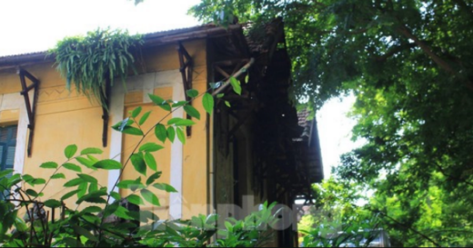 Admire the beauty of ancient French villas in the autumn sunshine of Hanoi