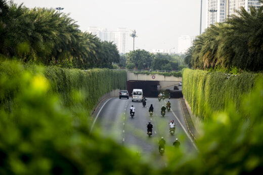 The road covered with picturesque vines in the heart of Hanoi