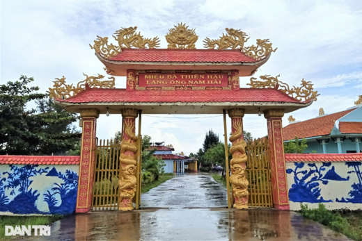 Admire the skin of the largest shark in Vietnam in Ganh Hao – Bac Lieu