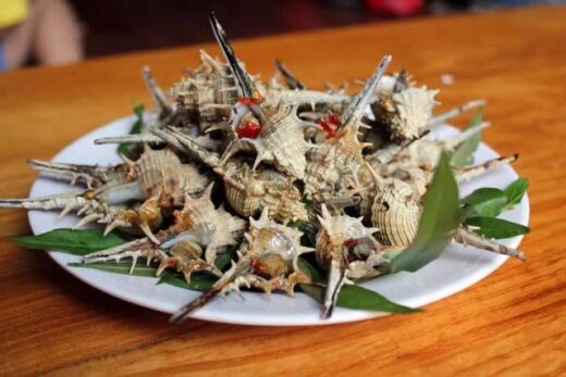 The famous snail of Phu Quoc is priced at 270,000 VND/kg