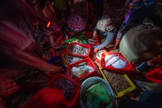 The idyllic beauty in the early morning at the largest fish market in Quang Nam