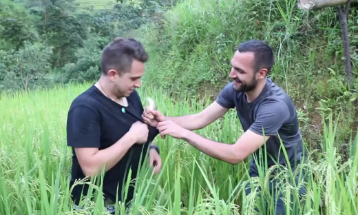 Western tourists try catching fish in Vietnam terraced fields