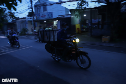 Make millions every night thanks to locusts on the grasslands of Ho Chi Minh City