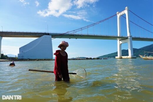 Soak in the Han River, and stir the sand to catch the specialty “advance king”