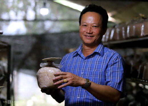 From empty hand to mushroom farm owner 2,000 m2