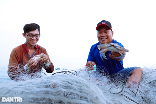 Hunting crabs out of season, Phu Quoc fishermen still make thousands of dollars every day