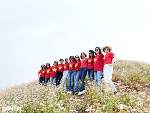 Buckwheat flowers bloom, and tourists everywhere flock to Ha Giang to check-in