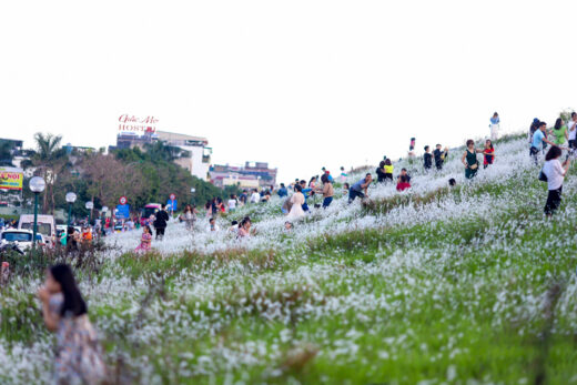 On the weekend afternoon, the dyke covered with white reeds in Hanoi was crowded with people to take pictures and check-in