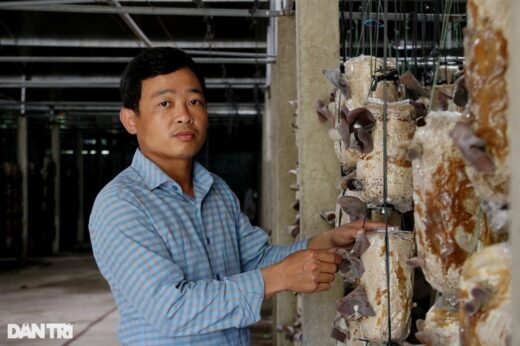 The guy who quit his job and returned to his hometown to get rich from mushrooms