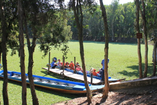 The idyllic beauty of Tra Su Melaleuca forest