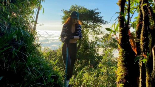 The primeval forest conquers Nhiu Co San, the 9th highest mountain in Vietnam