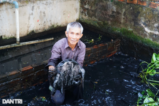 The old farmer raised Asiatic Softshell Turtle that lay eggs like chickens, giving him a high income