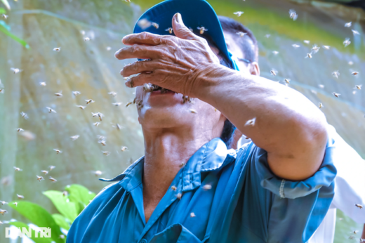 The “mutant” worker filled his mouth with bees without fear of being burned