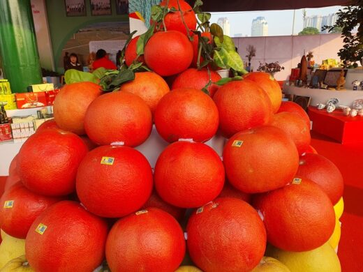 Red pomelos like lipstick cost 150 thousand VND / fruit down the street, and extremely toxic goods attract customers