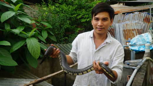 Feeding animals once a week, the western guy earns tens of thousands of dollars/per year