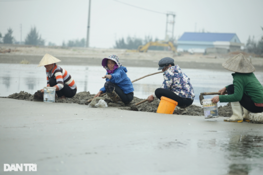 Digging on the beach in the middle of a cold winter