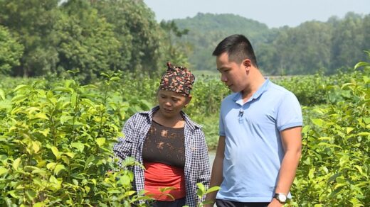 Engineer quits job, gets rich by gathering land to grow purple “strange fruit”