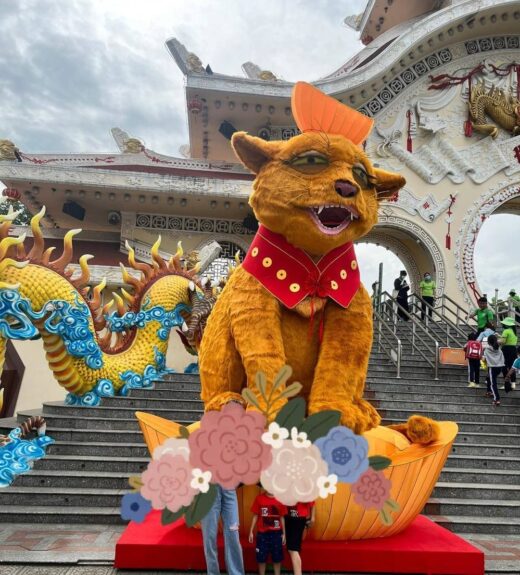 It’s the cat’s turn in Ho Chi Minh City to join the mascot association, making people “out of words”