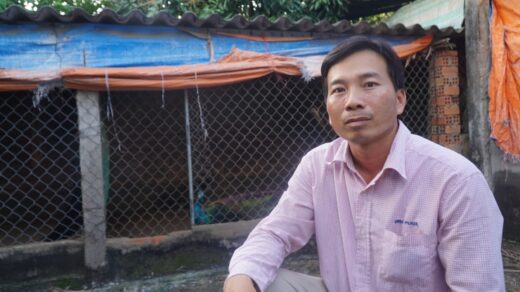 Tien Giang man earns nearly half a billion/year profit by raising noble birds