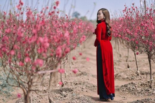 The most beautiful places to take pictures of Ao Dai to welcome Tet for sisters
