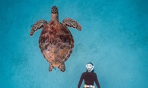 Vietnamese lensman wins in Sony photo contest with 'Turtle Dream'