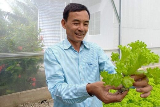 The director of U50 quit his job, and started a vegetable-growing business, making 100 million/per month