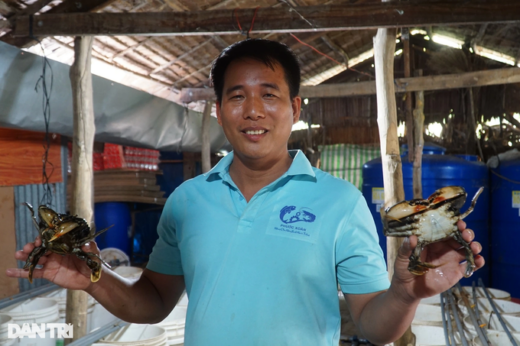 The secret to “finding” crabs helps Ben Tre teachers earn billions every year