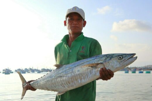 Mui Ne fisherman enjoys the mackerel season