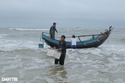 Earn tens of millions of dong per sea trip thanks to soft fish like porridge