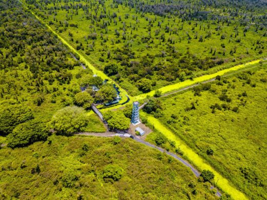 Vo Doi Forest Village – an attractive destination for tourists in Ca Mau to learn the history and admire the natural scenery