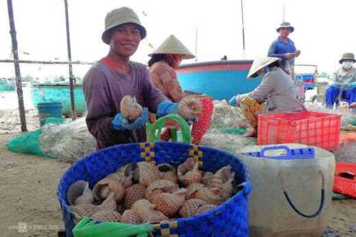 Fisherman hit by sesame snail